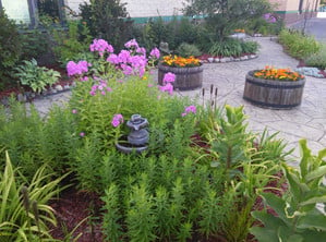 Photo of garden