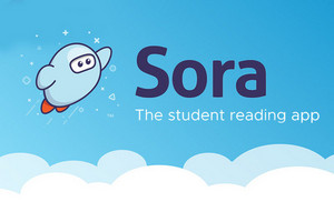 Sora app